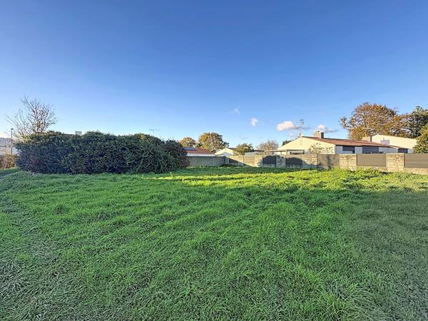 Vente terrain Challans : 81 750 € - AJP Immobilier Challans