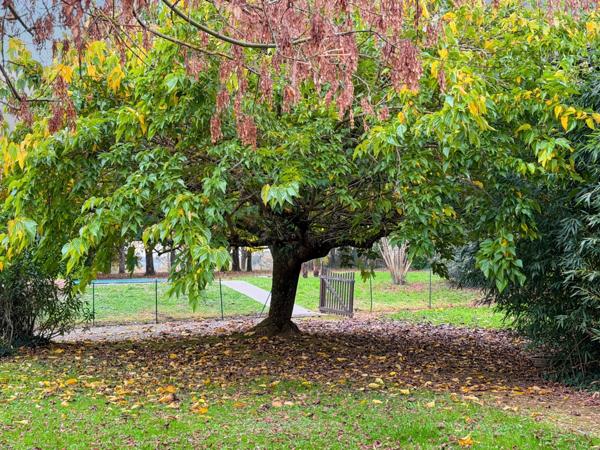 Maison à vendre 8 pièces proche de MARCIAC (32) - 302 m2 - terrain de 7318 m2 - 4 chambres - dépendances et piscine