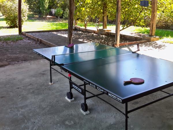 Maison à vendre 8 pièces proche de MARCIAC (32) - 302 m2 - terrain de 7318 m2 - 4 chambres - dépendances et piscine