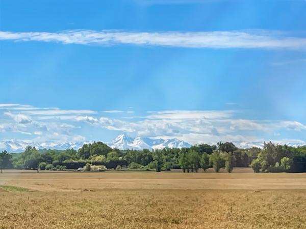 Maison à vendre 8 pièces proche de MARCIAC (32) - 302 m2 - terrain de 7318 m2 - 4 chambres - dépendances et piscine