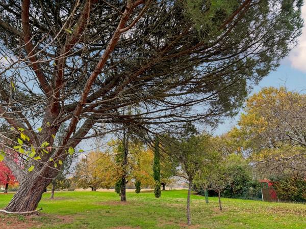 Maison à vendre 8 pièces proche de MARCIAC (32) - 302 m2 - terrain de 7318 m2 - 4 chambres - dépendances et piscine