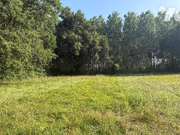 Terrain plat de 1642 m² à bâtir, au bout d'une allée, au calme, dans un quartier résidentiel !