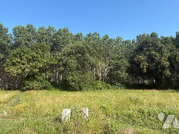Terrain plat de 1642 m² à bâtir, au bout d'une allée, au calme, dans un quartier résidentiel !