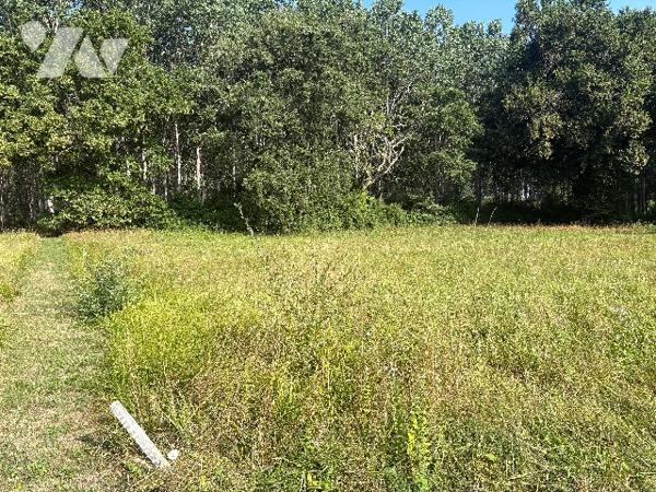 Terrain plat de 1642 m² à bâtir, au bout d'une allée, au calme, dans un quartier résidentiel !