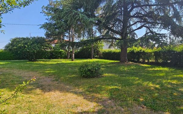 Terrain à vendre    Buxerolles