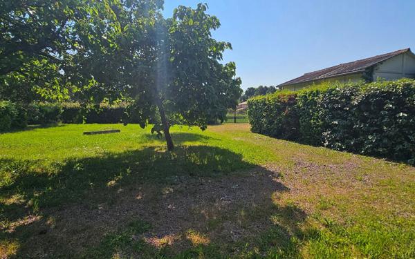 Terrain à vendre    Buxerolles