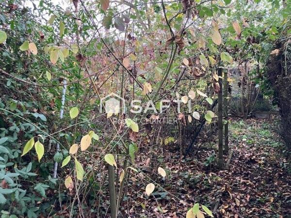 Baisse de prix significative pour ce terrain constructible sur la commune de la Daguenière (Loire Authion).