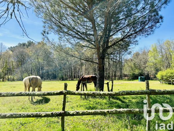 Maison à vendre 6 pièces 205 m² Le Barp