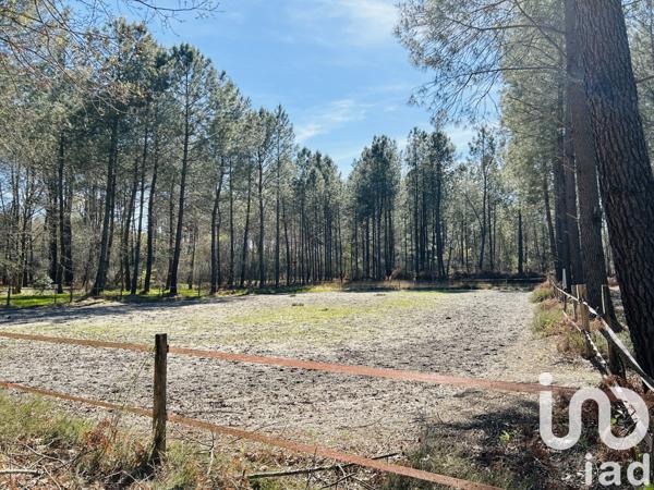 Maison à vendre 6 pièces 205 m² Le Barp