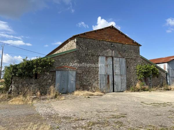 Vente Ferme à Mauléon