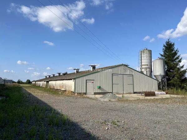 Vente Ferme à Mauléon