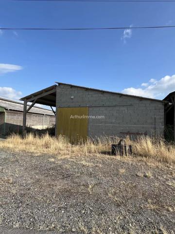 Vente Ferme à Mauléon