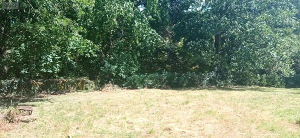 Achat - Terrain à bâtir Prangey 52190 1166 m 2