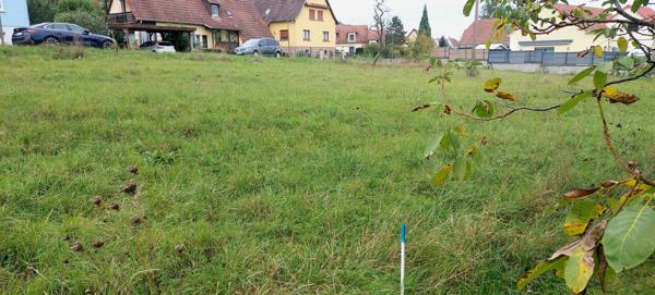 Beau terrain plat constructible de 5.63 ares