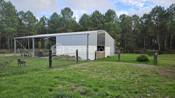 Terrain agricole de 10 000 m²