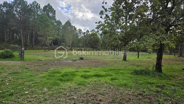 Terrain agricole de 10 000 m²