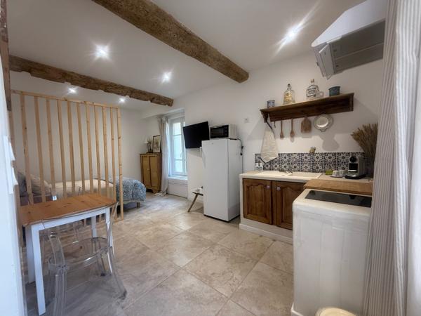 L'Isle-sur-la-Sorgue (84800) Magnifique studio refait à neuf plein centre historique