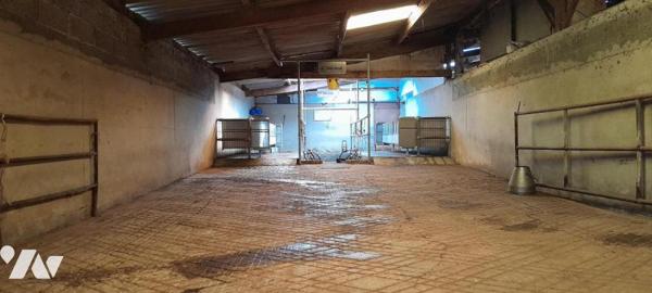 A VENDRE SAINT SERVAIS BATIMENT + TERRES