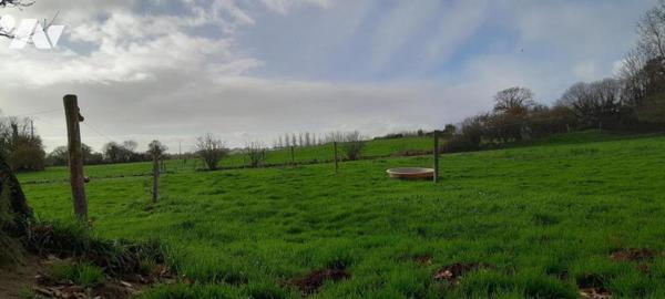 A VENDRE SAINT SERVAIS BATIMENT + TERRES