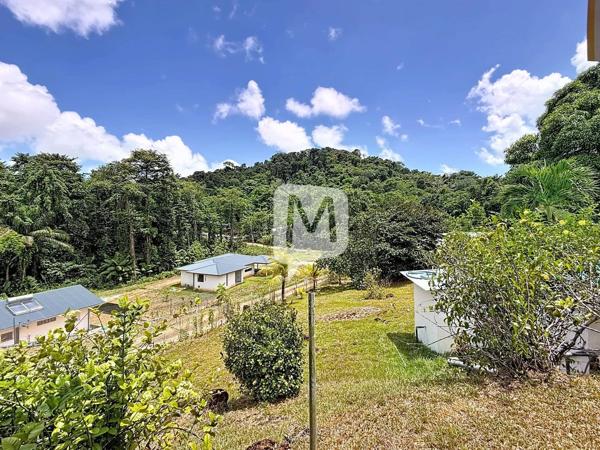 DPT GUYANE, à vendre MATOURY maison T4 de 114.08 m²  avec piscine + une maison T2 sur un terrain de 2500 m2