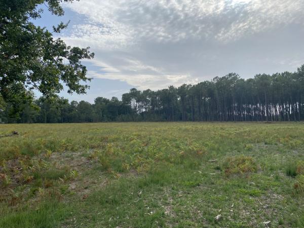 Terrain 220 m²