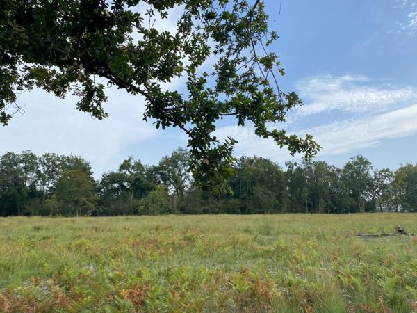 Terrain 220 m²