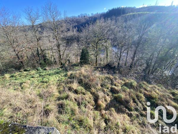 Terrain à vendre 1 512 m² Saint-Priest-Taurion