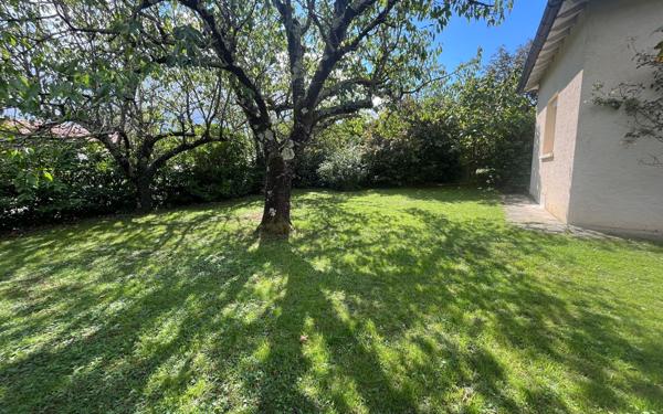 Maison à louer    4 pièces •  Castres