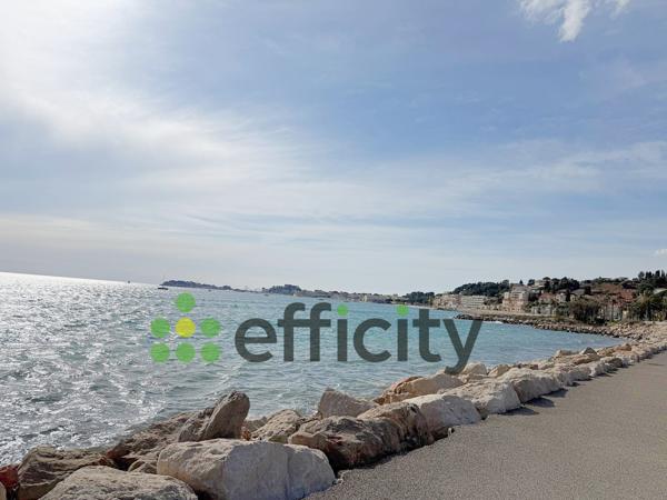 Appartement 1 pièce - 20 m²