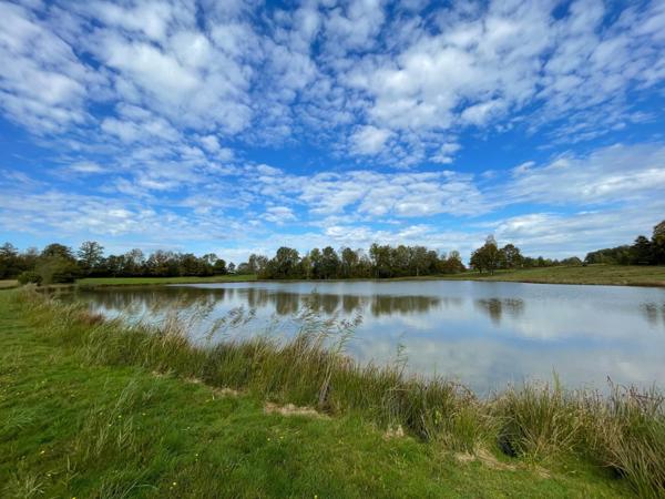 terrain loisir, étang, 3.6 hectares;