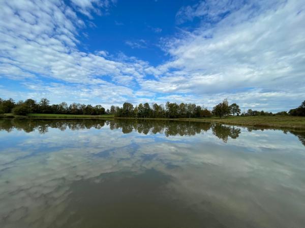 terrain loisir, étang, 3.6 hectares;
