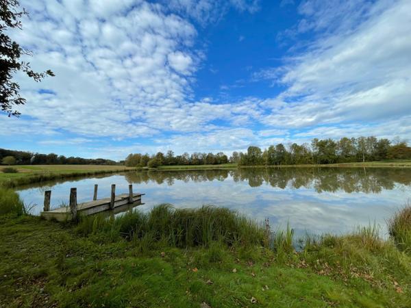terrain loisir, étang, 3.6 hectares;