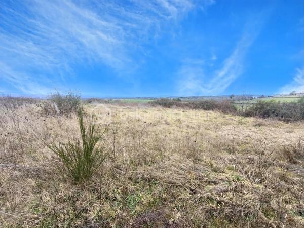 Terrain de 2 037 m²