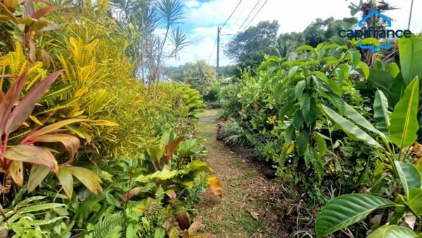 Vente spacieuse maison type F5 dans zone pavillonnaire rurale au Lamentin (97232).