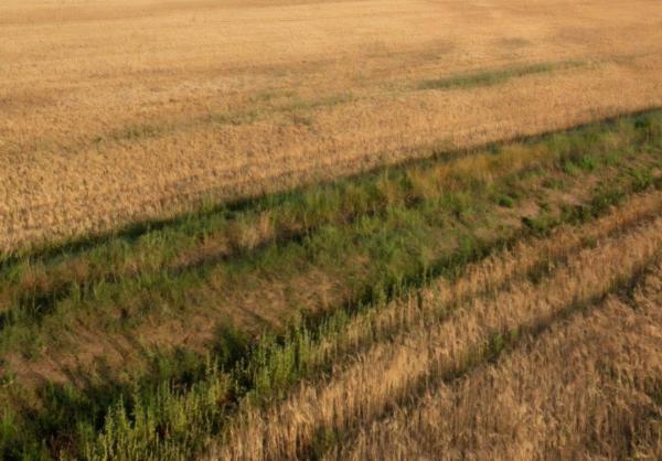 Vauvert (30600) NOUVEAU, RARE, Propriété de 206 ha irrigué d'un seul tenant