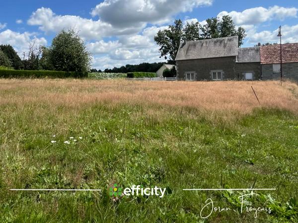 Terrain - 1460 m²