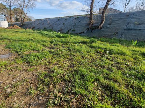 Maison Neuve Talmont Saint Hilaire