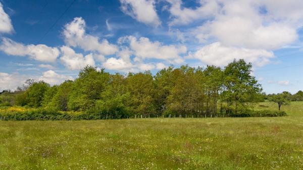 Dpt Sarthe (72), à vendre LE MANS terrain Bâtissable VIABILISÉ 713 M2