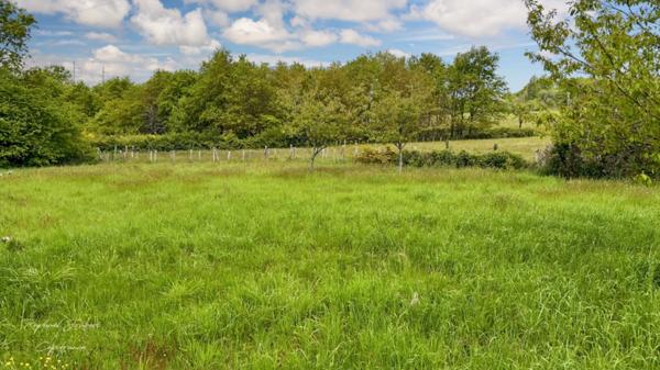 Dpt Sarthe (72), à vendre LE MANS terrain Bâtissable VIABILISÉ 713 M2