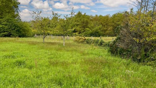 Dpt Sarthe (72), à vendre LE MANS terrain Bâtissable VIABILISÉ 713 M2