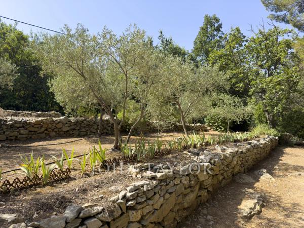 Maison familiale avec studio indépendant– Le Beausset