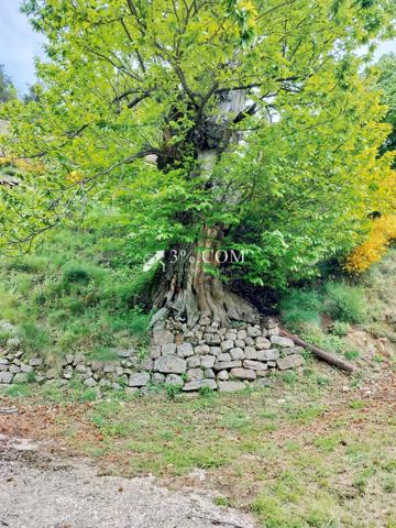 Propriete 8 pièce(s) 5 chambre(s) 195 m²