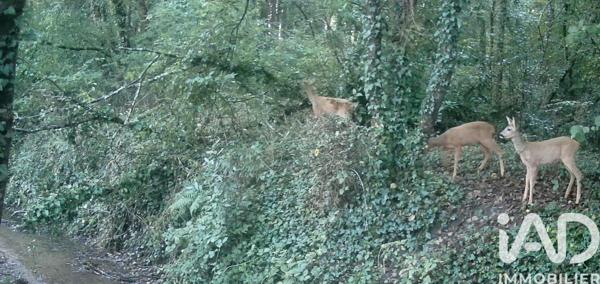 Maison à vendre 6 pièces 172 m² Le Pian-Médoc