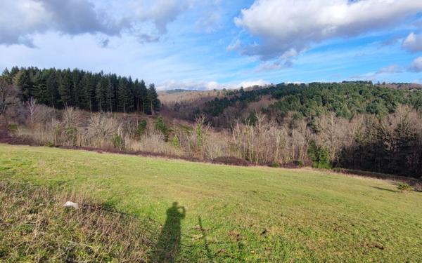 Terrain à vendre    Pont-de-Larn