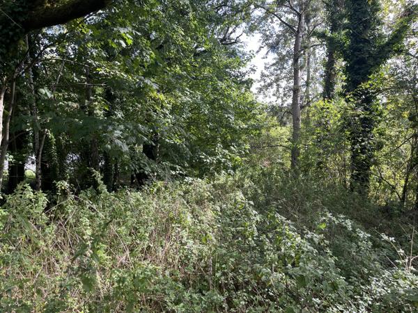 Immeuble à vendre à Lessac (16500) - Charente