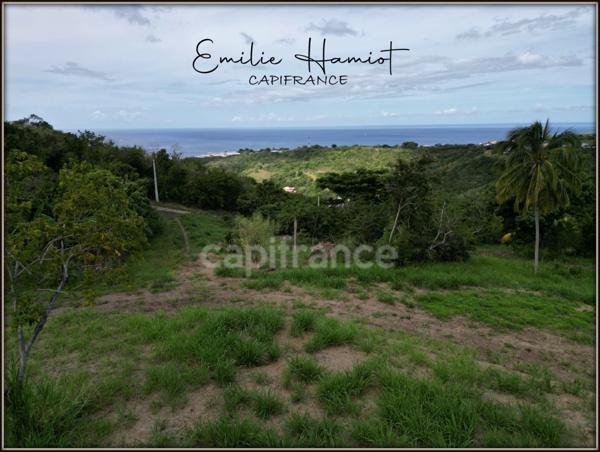 A vendre – TERRAIN CONSTRUCTIBLE DE 1060 m² – LE CARBET - Quartier Bel-Event
