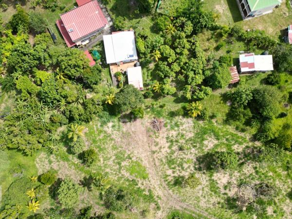 A vendre – TERRAIN CONSTRUCTIBLE DE 1060 m² – LE CARBET - Quartier Bel-Event