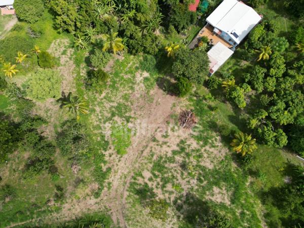 A vendre – TERRAIN CONSTRUCTIBLE DE 1060 m² – LE CARBET - Quartier Bel-Event