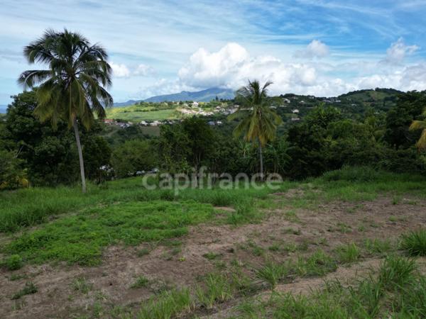 A vendre – TERRAIN CONSTRUCTIBLE DE 1060 m² – LE CARBET - Quartier Bel-Event