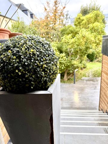 Dpt Finistère (29), à vendre Brest Pasteur Lycée St Anne Maison T10 de 200 m² - Terrain de 210 m² - Terrasse 30m²